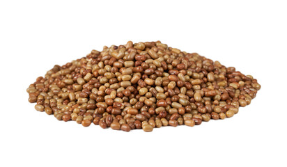 moth bean seed isolated on white background