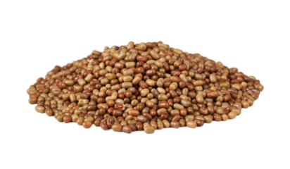 moth bean seed isolated on white background