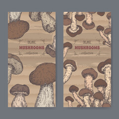 Set of two color labels with cyclocybe aegerita aka poplar mushroom anad Boletus edulis aka porcini mushroom sketch. - 751560961