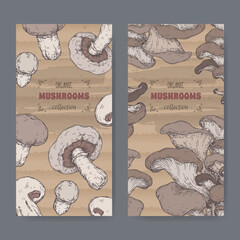 Two labels with Agaricus bisporus aka common mushroom and Pleurotus ostreatus aka oyster mushroom color sketch. - 751561336