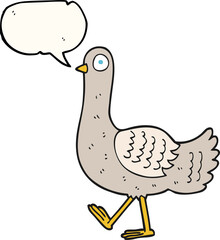 speech bubble cartoon pigeon