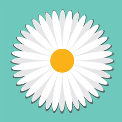 Camomile icon set. White daisy chamomile. Cute round flower plant collection. Growing concept. Love card symbol. Flat design. Green background. .eps10