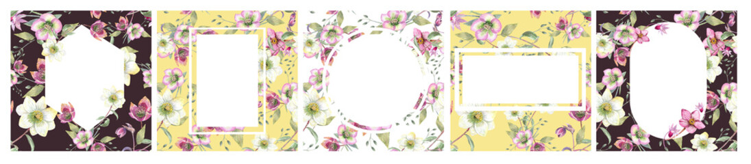 Hellebore spring wreaths and frames. Hand painted floral illustration.