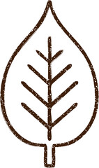 Leaf Charcoal Drawing