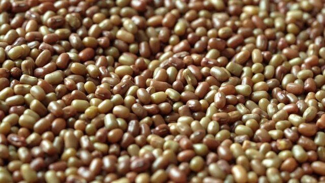 close up moth bean seed food texture background rotate footage