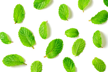 Mint leaf. Fresh mint on white background. Mint leaves isolated. herb and medicine background