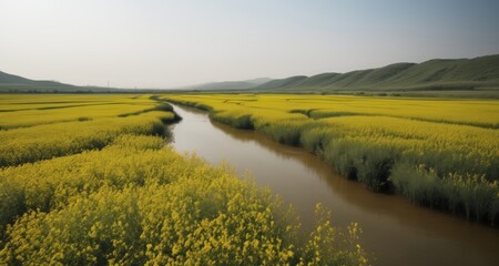  Vibrant fields of yellow flowers line a serene river