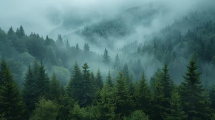 Foto auf Glas Misty foggy mountain landscape with fir forest and copyspace in vintage retro hipster style. © Matthew