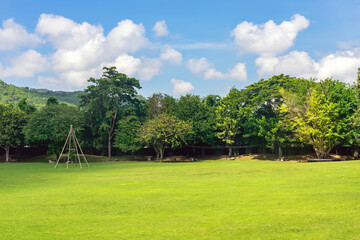 Beautiful view of nature with green grass, lush trees, mountain and sky. Beautiful landscape, fresh trees forest, green grass field, scenery valley in the mountains, Cloud blue sky, Green Landscape.