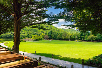 Pathway passes through lush grassy fields amidst a beautiful tranquil nature with the mountains in background. Beautiful view of nature with green grass, lush trees, mountain and sky. Green Landscape.