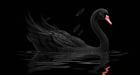 Foto op Aluminium  Elegance in motion - A black swan glides gracefully on the water © vivekFx
