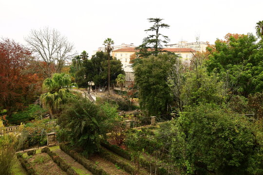The Botanical Garden of the University of Coimbra is a botanical garden in Coimbra, Portugal.