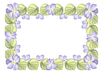 Horizontal frame from wild violets with green leaves. Isolated hand drawn watercolor illustration of spring pansy flower blossom. Template with copy space for postcard of Mothers day, 8 March, wedding