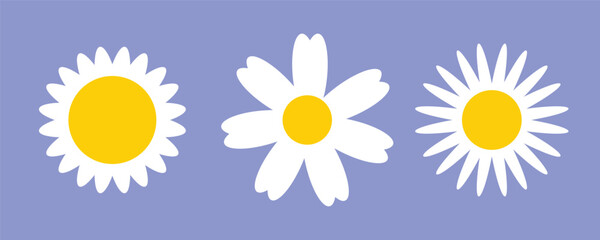 Daisies clipart. Collection of cute round daisies. Simple design. Vector design.