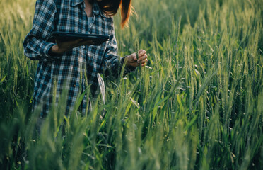 Smart farm. Farmer with tablet in the field. Agriculture, gardening or ecology concept. Harvesting. Agro business.