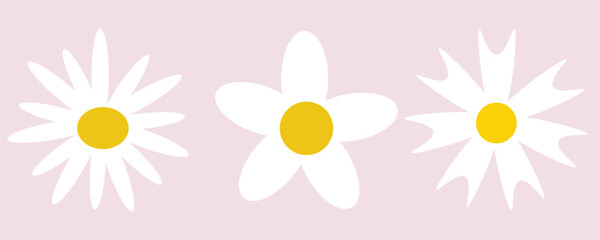 Cartoon daisy logo designs, chamomile flower icons. Flat spring floral elements. Blossom flowers with white petals. Doodle daisy vector set with background.