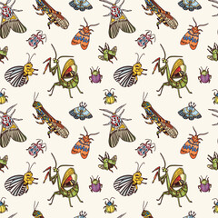 vector seamless pattern of insect