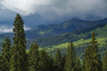 Rodnei Mountains National Park, Romania, Romanian Carpathian Mountains, Europe.