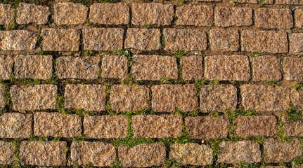 Detailed close views on cobblestone streets and sidewalks in different perspectives, with small green plants in a city in Brazil