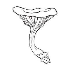 Mushroom in ink sketching style isolated. Hand drawn food item. Outline scribble of wild mushroom. Mycology. Poisonous, toadstools doodle
