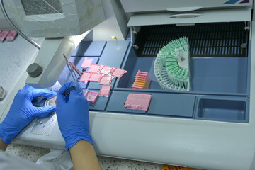 A medical scientist prepares a pathological specimen for a pathologist to diagnose.