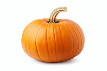Obraz premium A ripe pumpkin with a stem isolated on white background