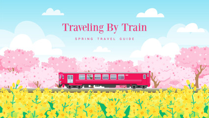 Traveling by train, Spring travel guide vector illustration. Cherry blossom and Canola field - obrazy, fototapety, plakaty