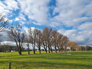 Landschaft bei Brielow im Havelland