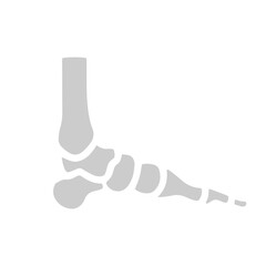 human bone icon set  element