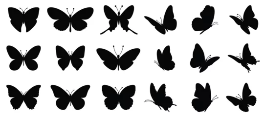 Fotobehang Flying butterflies silhouette black set isolated on transparent background. Vector illustration. © Aisha