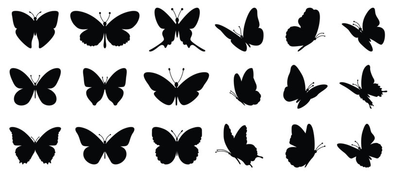 Flying butterflies silhouette black set isolated on transparent background. Vector illustration.