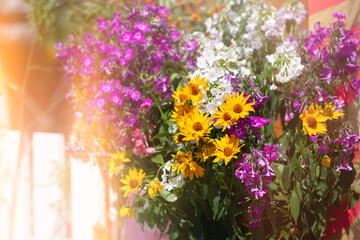 Obraz premium Floral background of a bouquet of chrysanthemums and petunias in a yellow haze.