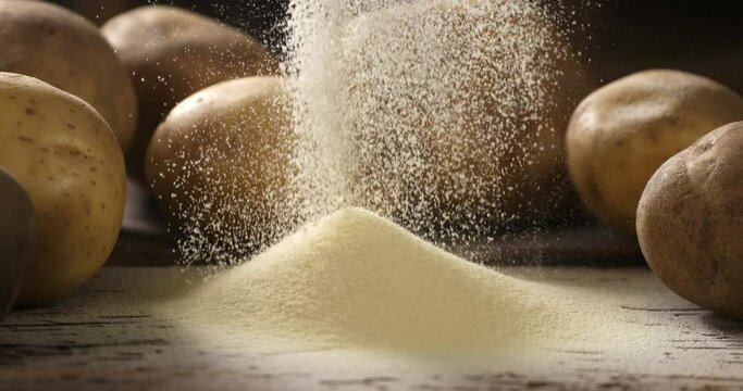 Super slow motion close up of bio organic potato flour grains seeds are falling for quality control on rustic wooden table with raw potatoes at background in rural agriculture farmland at 1000 fps.