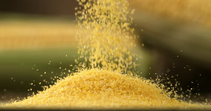 Super slow motion close up of bio organic yellow corn maize flour grains seeds are falling for quality control on rustic wooden table in rural agriculture farmland at 1000 fps.