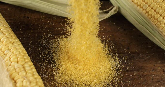 Super slow motion close up of bio organic yellow corn maize flour grains seeds are falling for quality control on rustic wooden table in rural agriculture farmland at 1000 fps.
