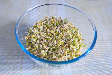 Fresh mung bean sprouts. Healthy fresh vegetarian food.