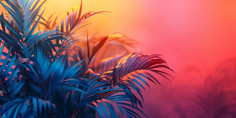 Fototapeta na wymiar Tropical palm leaves with a bold gradient backdrop