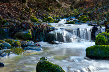Water flows over the moss-covered stones of a quiet stream that makes its way through the forest.