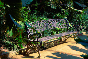 iron empty bench in a tropical park, green garden eco environment