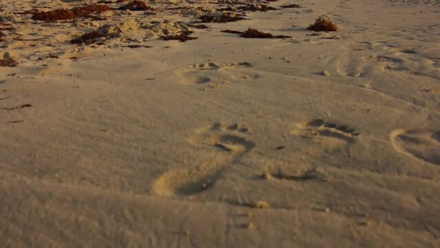 Footprints in sand at sunset - low, shaky cam