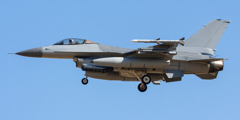 Aviación militar. Caza polivalente.