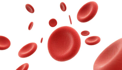 3D electron microscopic view of red blood cells