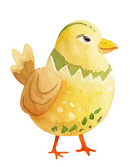 Watercolor yellow chicken. Easter symbol. Watercolor Easter bird on isolated background Vector illustration.