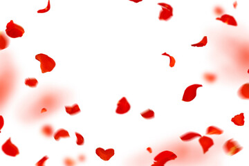 Floating red rose petal isolated on on a transparent background png. Background concept for love greetings on valentines day and mothers day. Space for text	