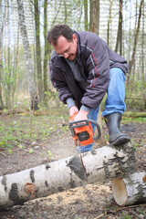 Workman sawing birch trunk using a chainsaw in the forest