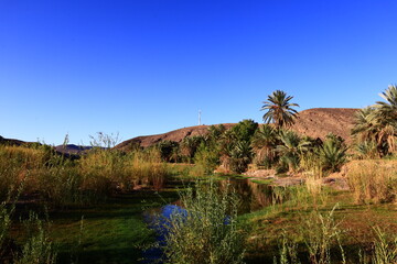 The oasis of Fint is a green place surrounded by rocks located about ten kilometers from Ouarzazate