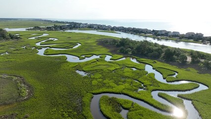 Vacation beach houses by the ocean at Pawleys Island, SC with view of natural salt water marsh in...