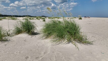 White sandy beach with Sand Dunes and sea oats by the ocean at summer vacation destination for families at Pawleys Island, South Carolina low country lifestyle with blue sky and white puffy clouds 