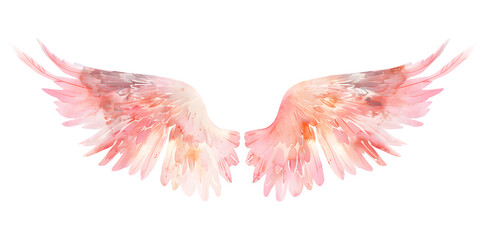 Obraz premium Soft pastel detailed pink angel wings in watercolor style isolated on transparent background