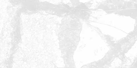 Fototapeta premium Surface cracked wall texture. cracked concrete wall covered with gray cement texture. Crack concrete white wall or Cement wall background. Cracked concrete texture background Abstract concept. 